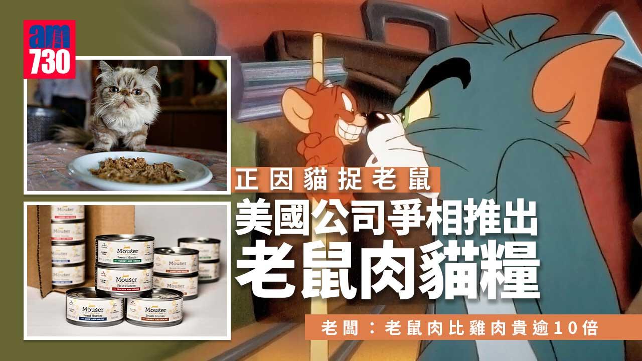 正因貓捉老鼠-美國公司爭相推出老鼠肉貓糧-老闆：原來鼠肉超貴