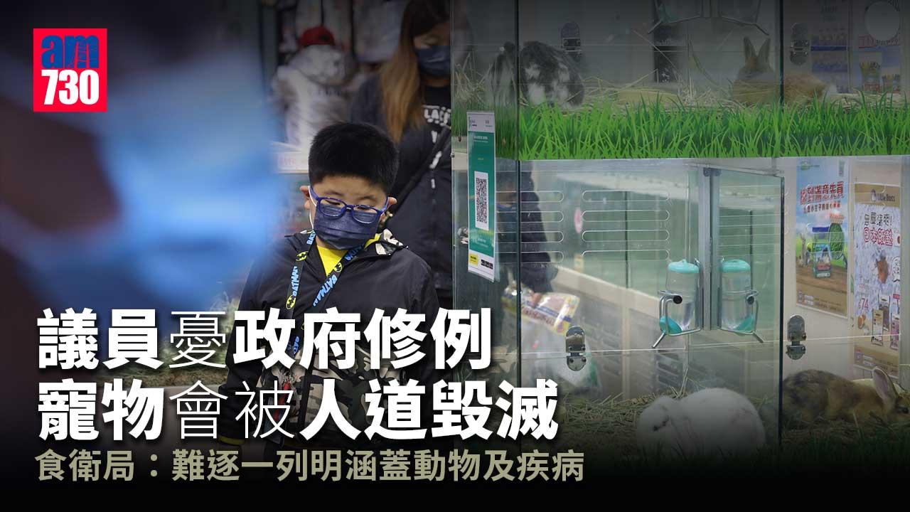 疫情｜議員憂修例強交寵物送人道毀滅　食衛局稱可研預案交代細節