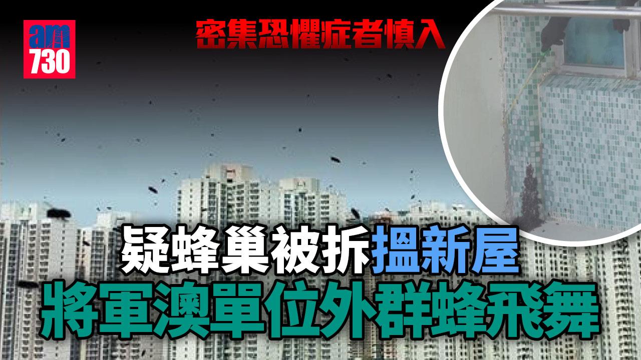 網上熱話｜疑蜂巢被拆搵新屋　將軍澳單位外群蜂飛舞-(密集恐懼症者慎入)
