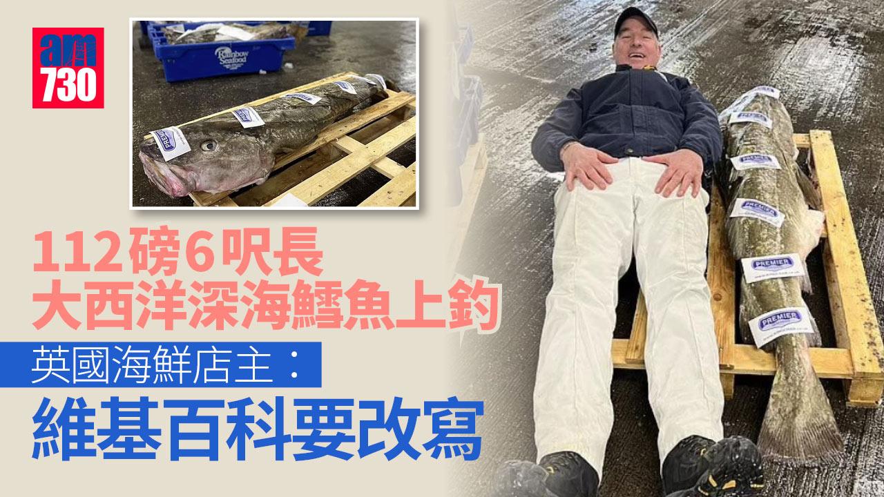 112磅6呎長大西洋深海鱈魚上釣 英國海鮮店主：維基百科要改寫