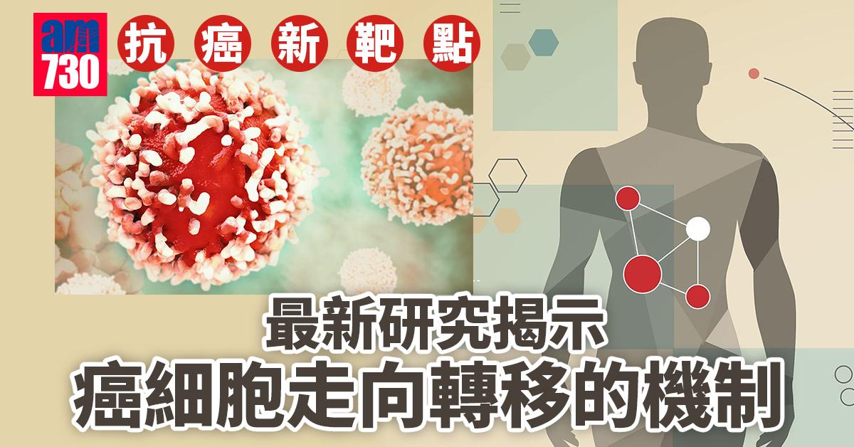 抗癌新靶點 最新研究揭示癌細胞走向轉移的機制