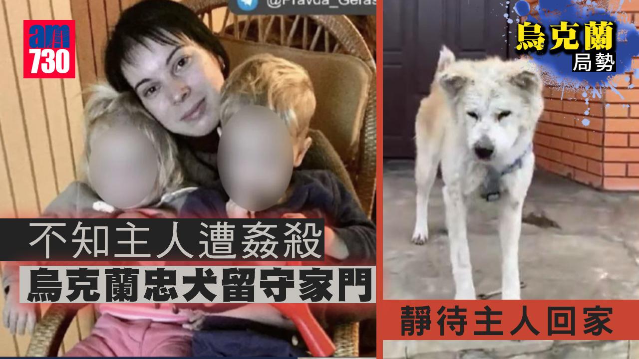 烏克蘭局勢｜不知主人遭姦殺 烏國9歲忠犬留守家門等主人回來(有片)
