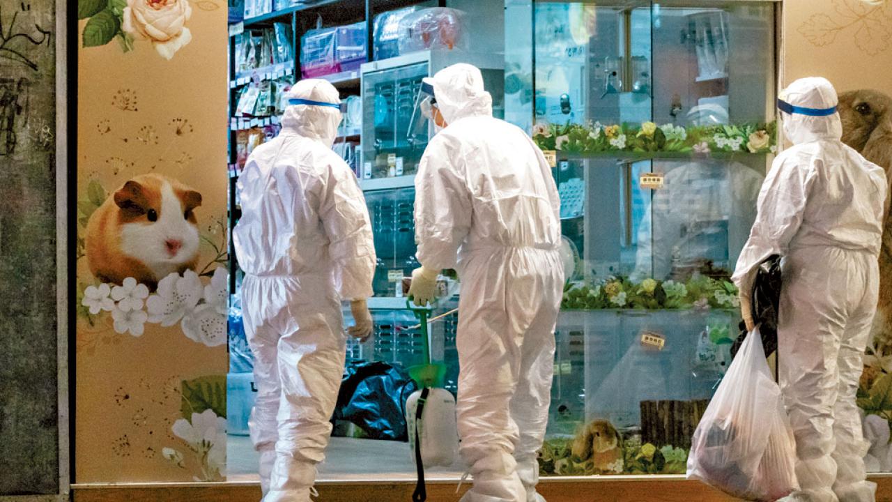 政府修例可飭令交寵物 會吸取處理倉鼠經驗