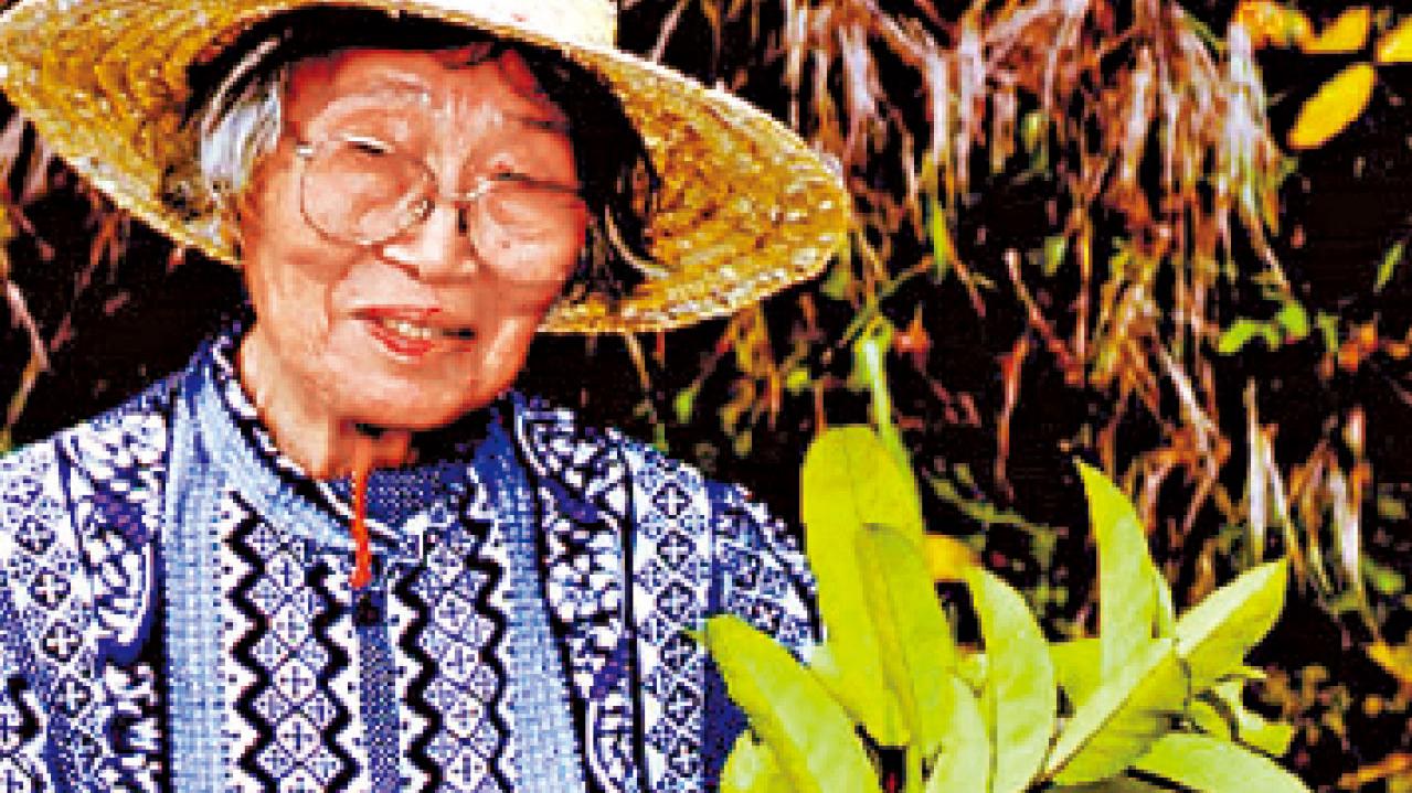 冬青之母胡秀英研發 三冬茶重新上架