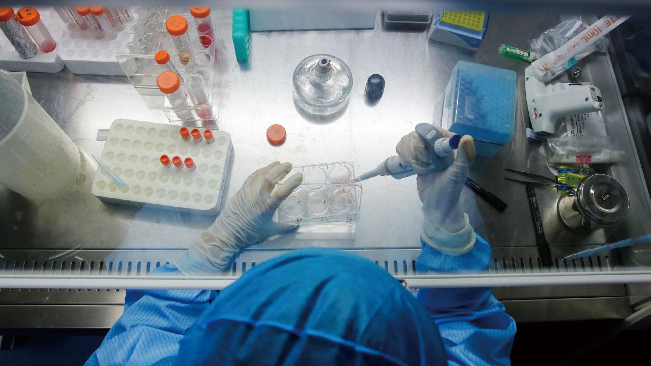 創新藥企業績增長確定性高