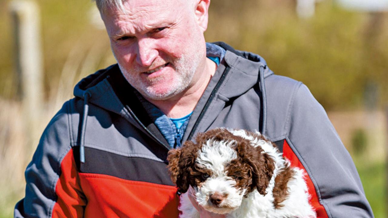 英漢喜獲淘金犬 愛犬狂掘草地 挖出6萬金幣