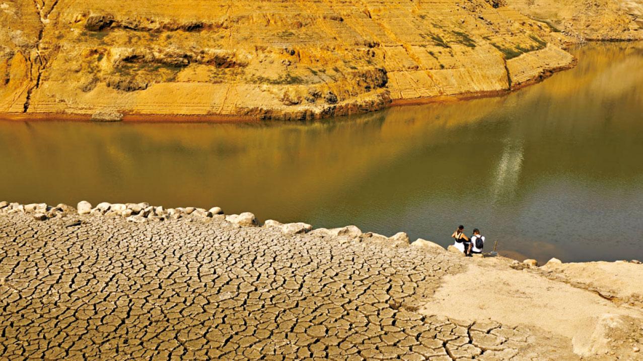 圖片新聞: 龜裂