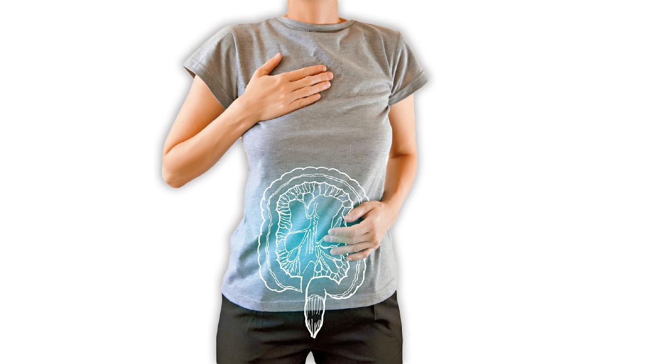 強健脾胃 增強免疫力