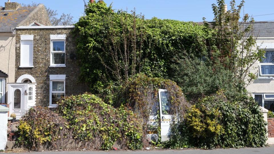 植物多到似鼻毛炸開 英不見天日「叢林屋」惹民憤 以為荒廢點知有人住(多圖)