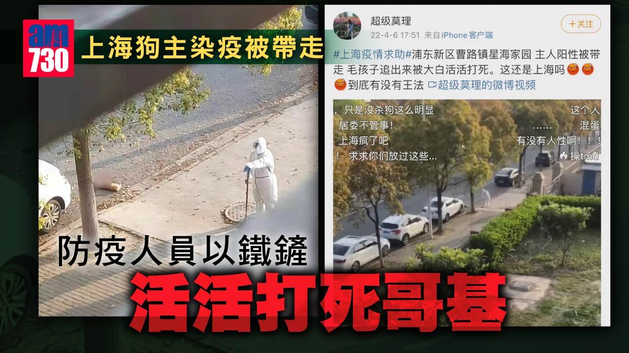 疫情｜上海感染者哥基狗被當街打死 居委會：怕傳染 沒考慮周全