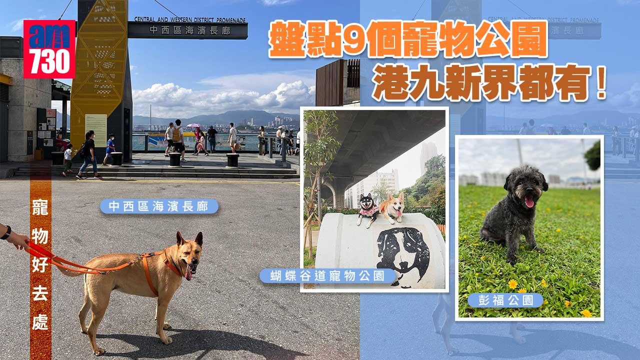 寵物好去處｜盤點9個寵物公園 港九新界都有！ 中西區海濱長廊、蝴蝶谷道寵物公園