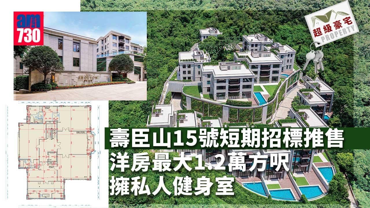 超級豪宅｜壽臣山15號短期招標推售 洋房最大1.2萬方呎