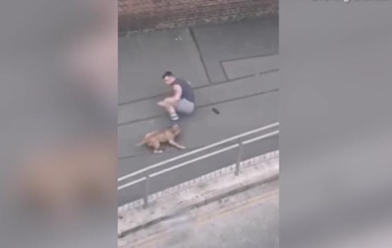 男子被惡犬狂咬腳部。(互聯網)