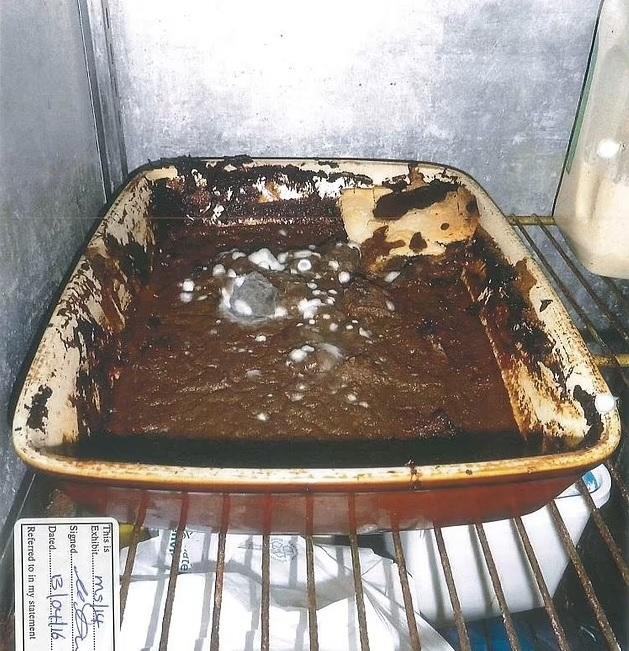 食物發霉，放在關掉的雪櫃裡。(互聯網)