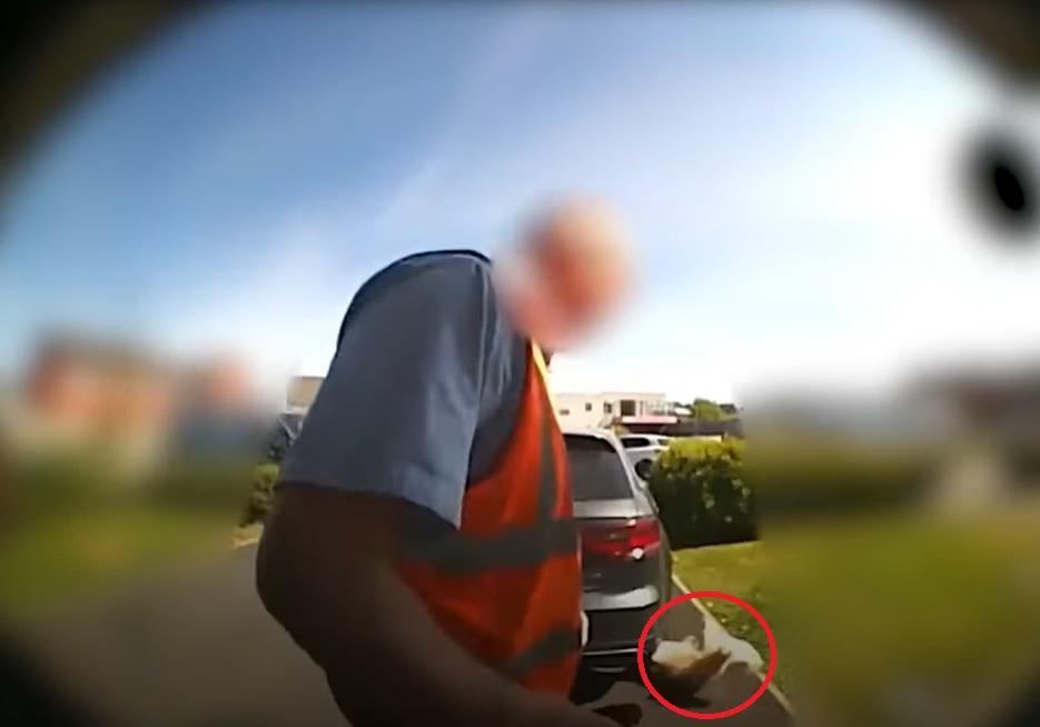 郵差一腳踢開小狗(紅圈示)，小狗在地上翻滾。(互聯網)