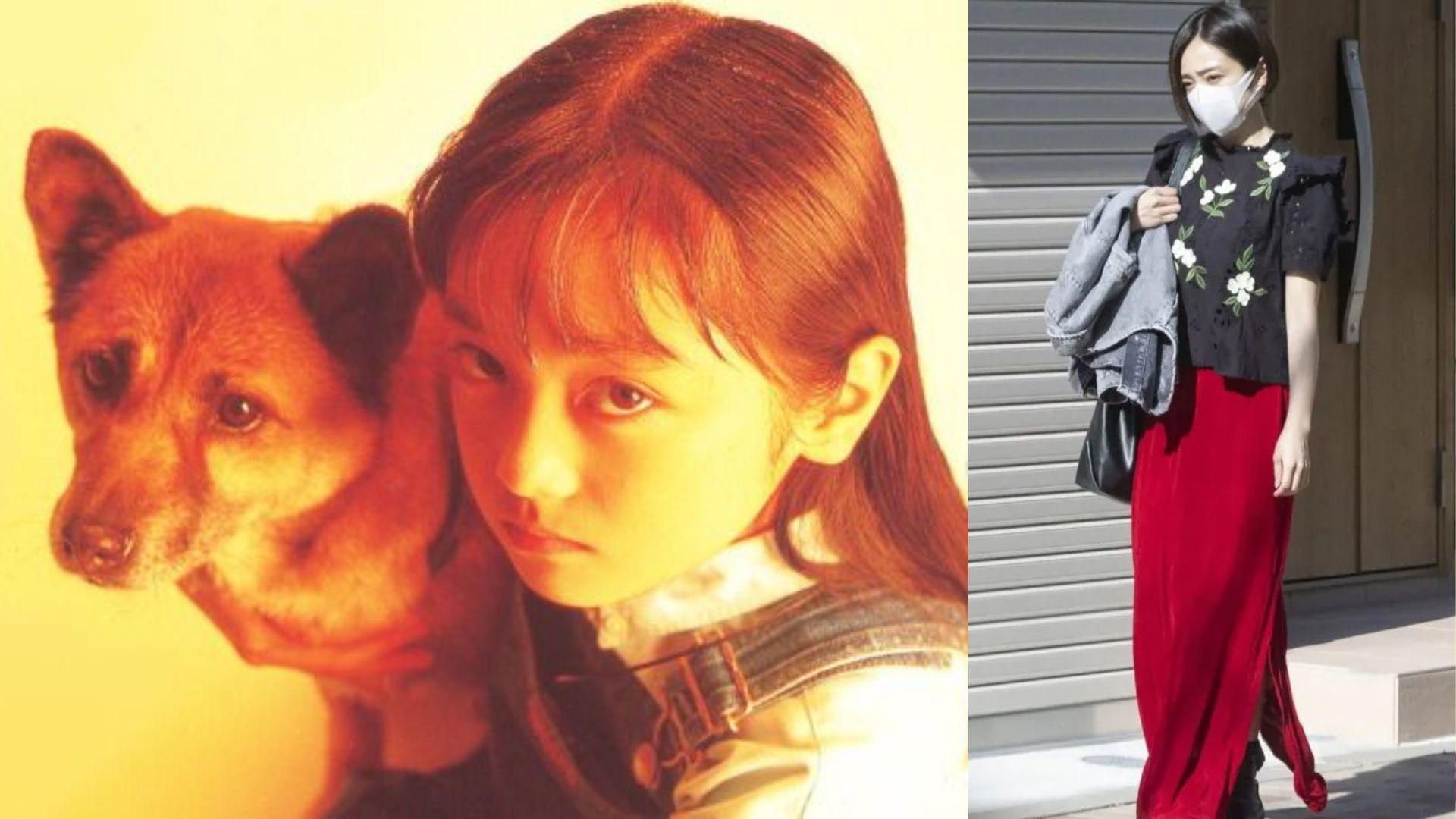 安達祐實被爆分居