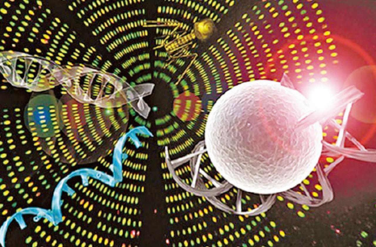 生物訊息學 推動香港未來醫療發展