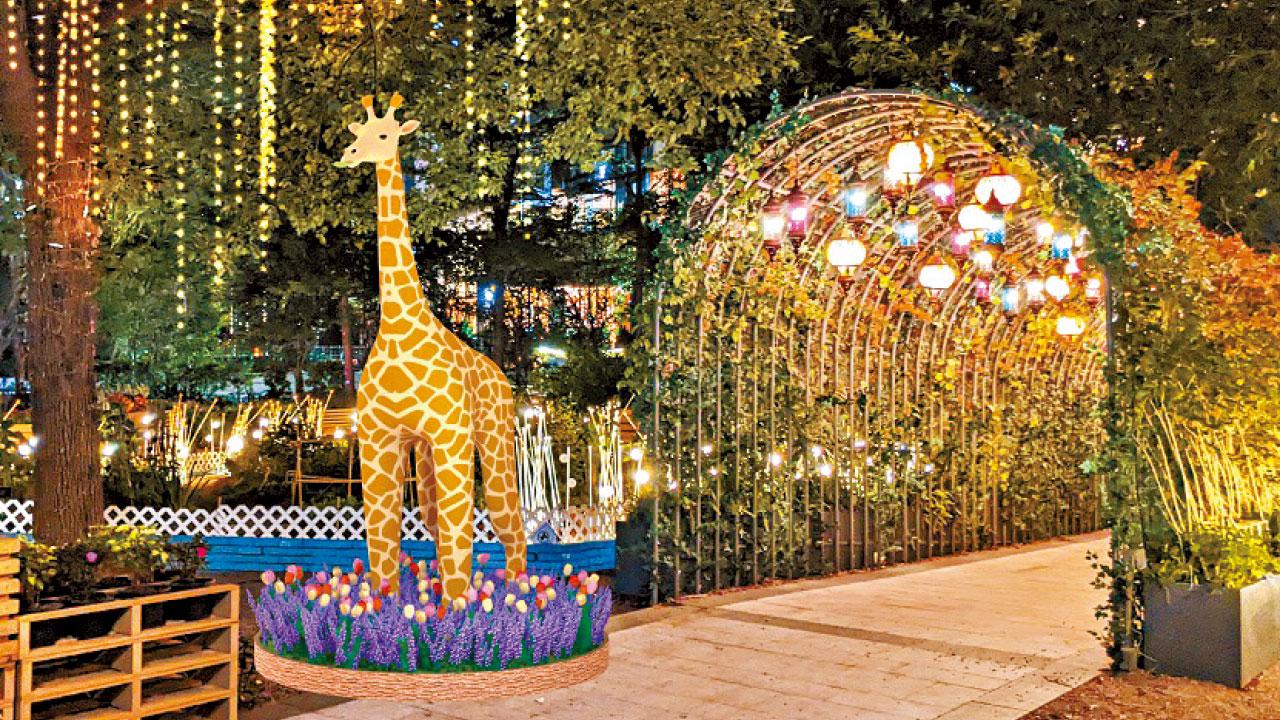 YOHO MALL 同佛系動物Chill住打卡 再掃戶外及寵物精品