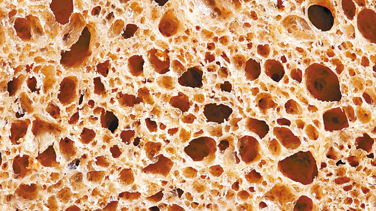 淺談麩質不耐症(一)