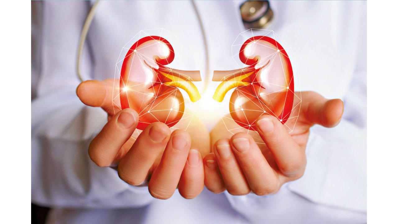 突破幹細胞功能界限 有望廣泛應用造福人類