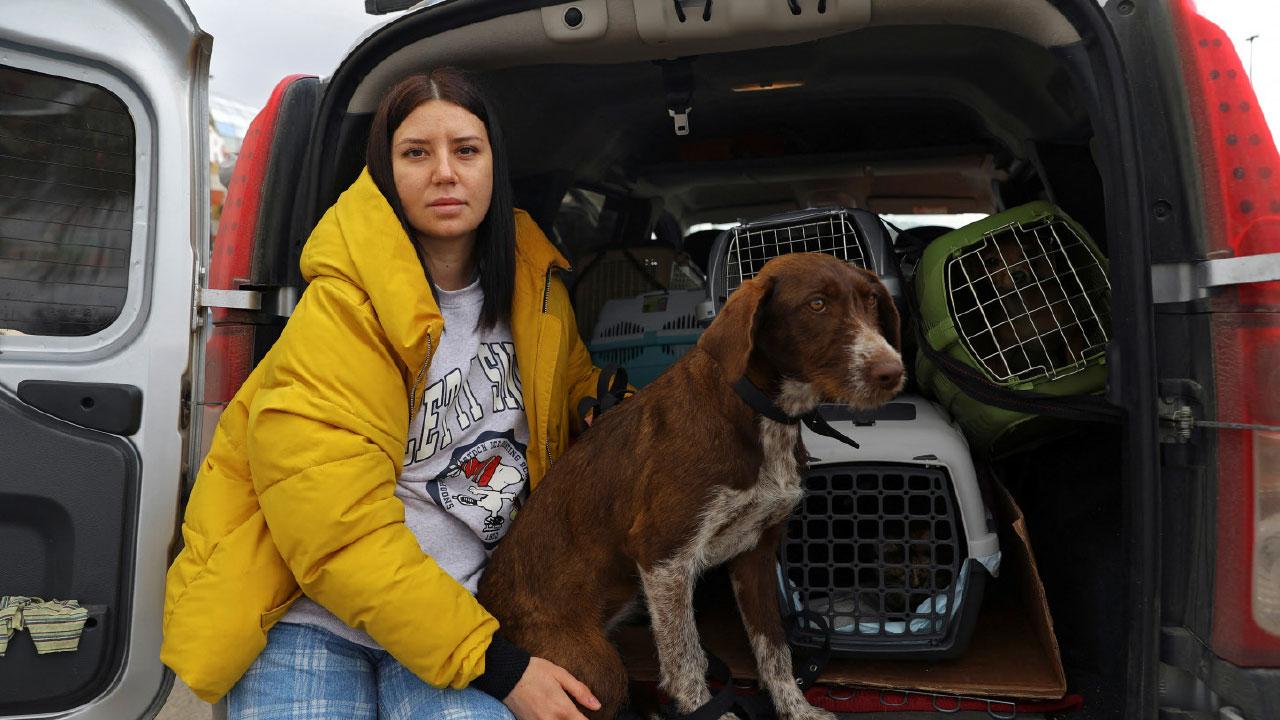 人類捱得過核戰嗎？