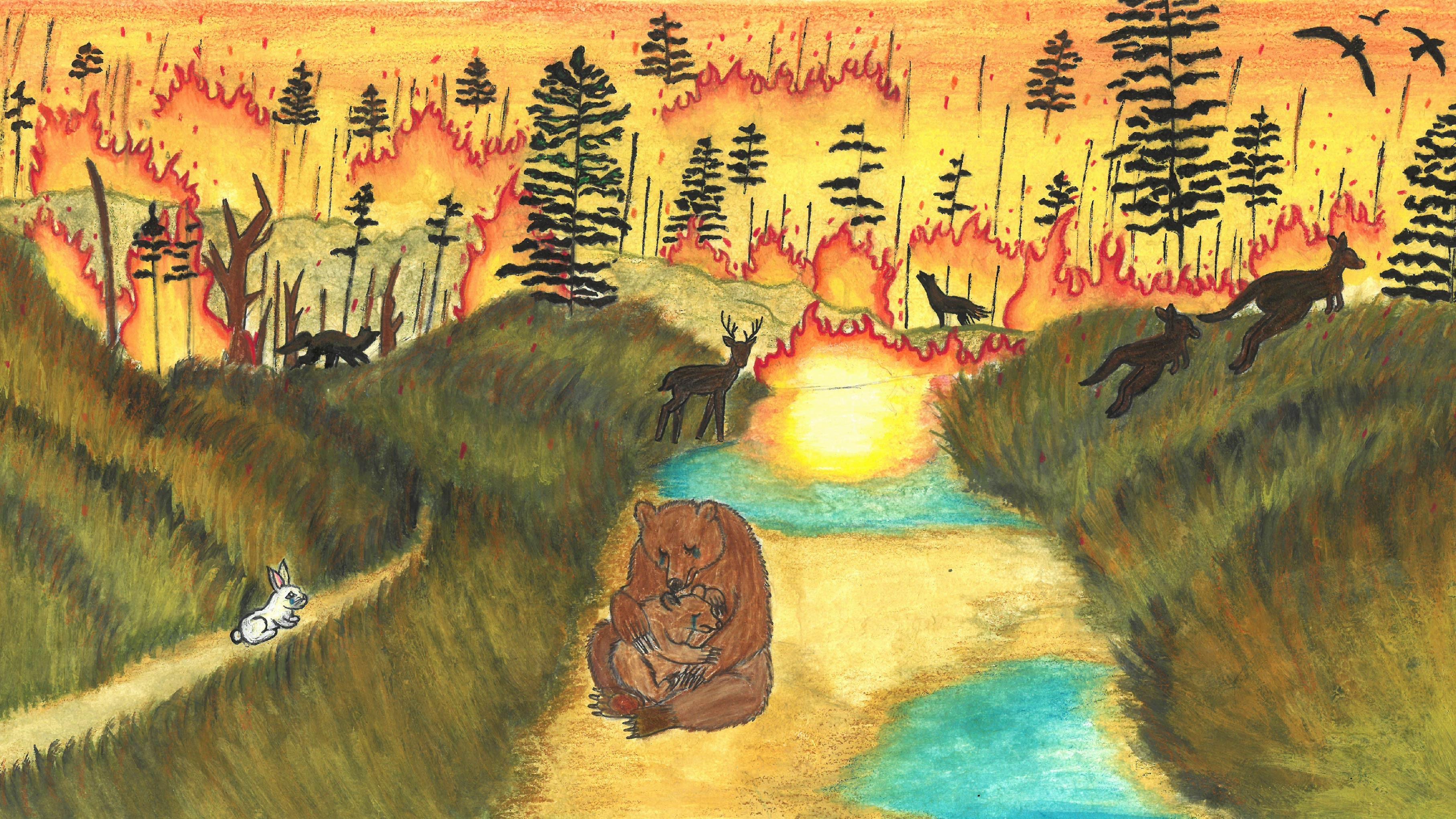 來源：廠商會蔡章閣中學3B 奇運 KIRAN Wahab同學 題目：森林大火