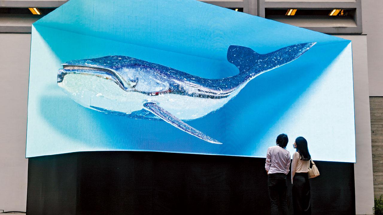 與眾同樂｜康文署文娛活動慶回歸 7.1免費開放康樂設施 