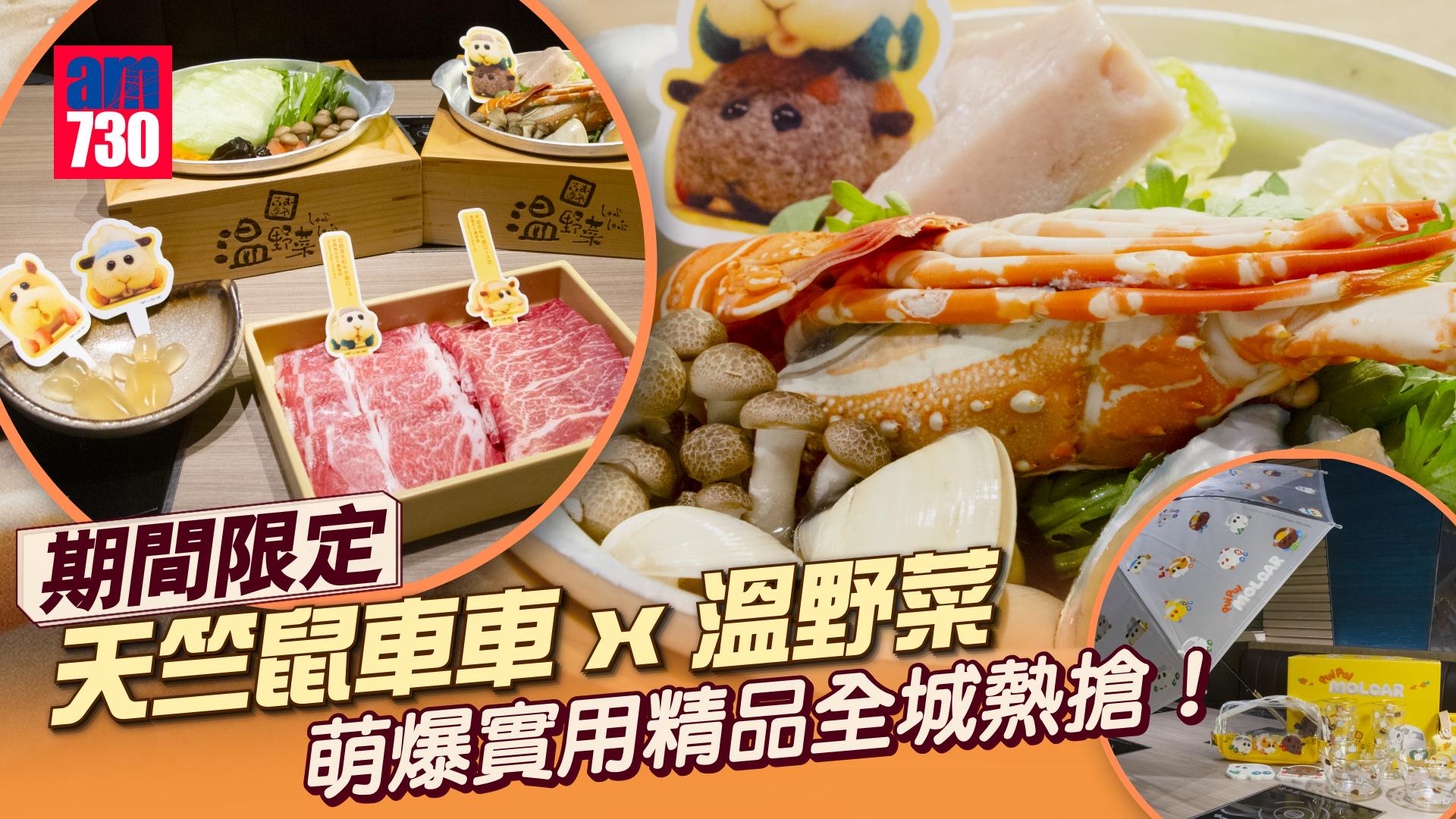 期間限定｜人氣動畫天竺鼠車車聯乘溫野菜 食涮涮鍋換萌爆實用精品 PUI PUI海鮮寶藏鍋有龍蝦鮑魚好足料