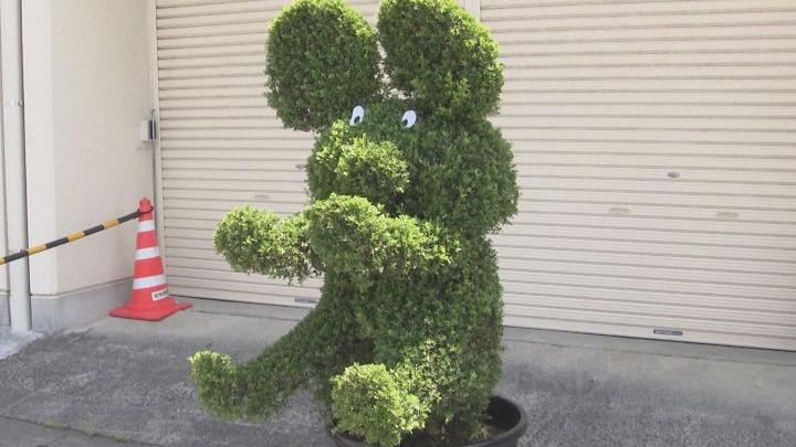 日本一名中國男子，因為偷走一個老鼠外型盆栽被捕。(日本東海電視台圖片)