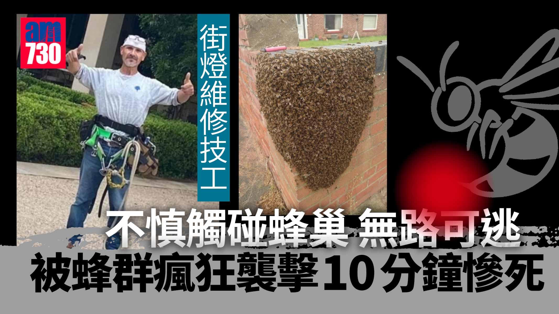 被蜂群瘋狂襲擊10分鐘 德州漢慘被活活針死