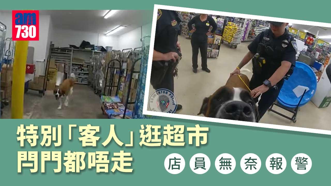 特別「客人」逛超市閂門都唔走　店員無奈報警(有片)