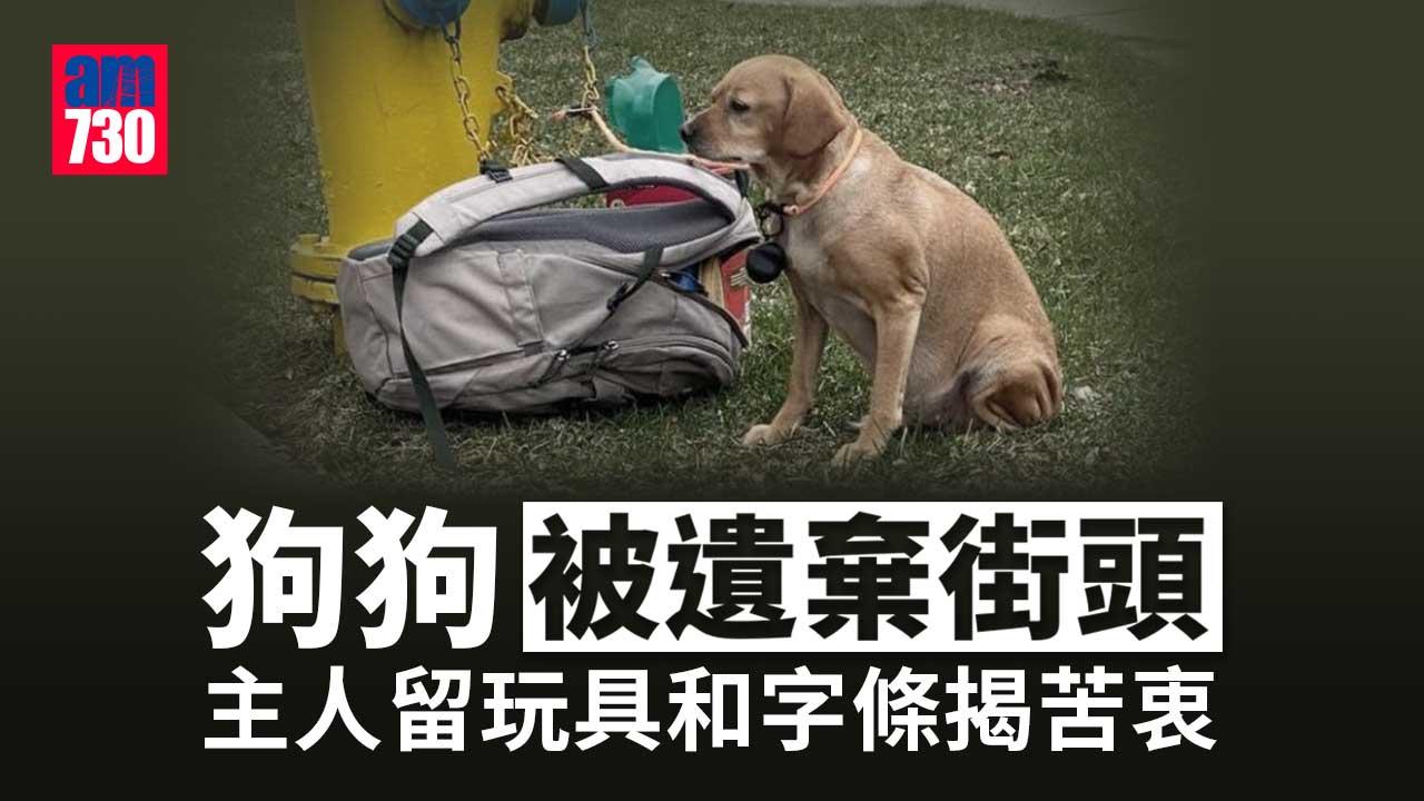 狗狗被遺棄街頭 主人不捨 留大袋玩具附字條訴苦衷