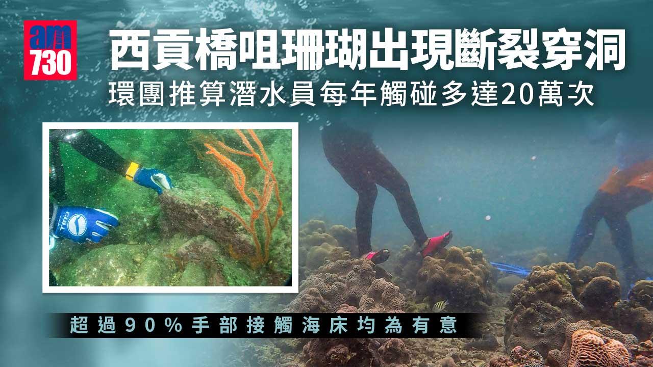 西貢橋咀珊瑚斷裂穿洞　環團推算潛水員誤觸年達20萬次