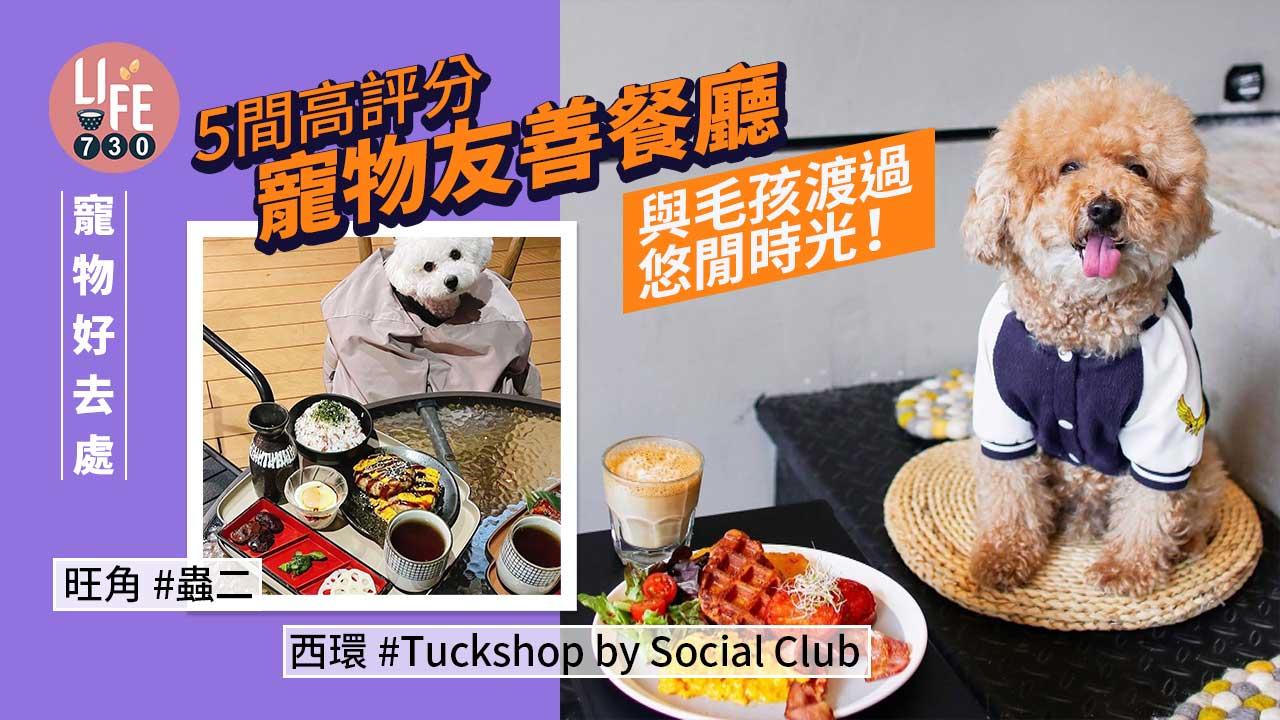 寵物好去處｜與毛孩渡過悠閒時光！5間高評分寵物友善餐廳推薦