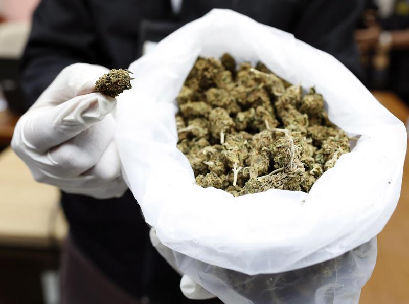 泰國大麻合法化，可自家種但公開食屬違法。(網上圖片)