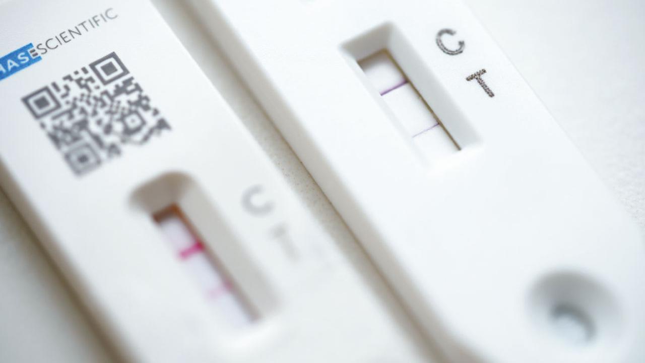 快測陽性354宗佔新增確診七成 疑有人虛報中招呃康復證明 防護中心籲多打一針滿足疫苗通行