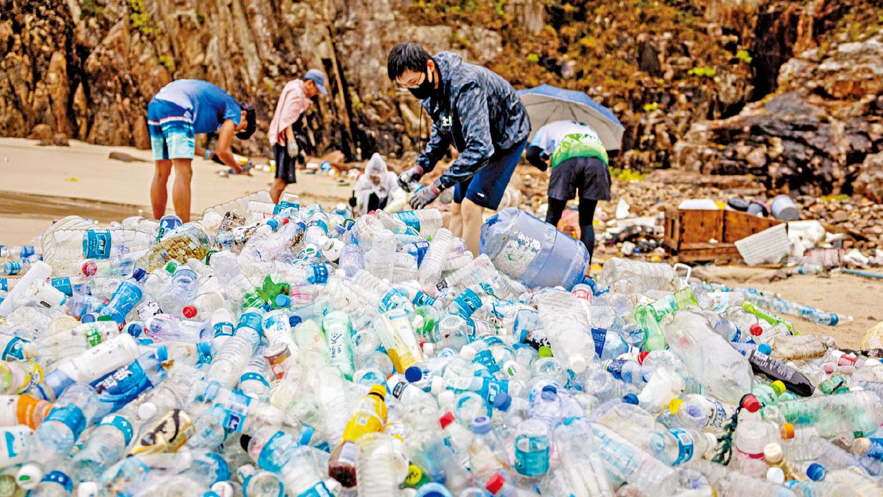 環團灘岸年拾4.3萬膠樽 促下屆政府加快立法規管