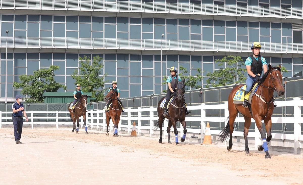 賽事見習學員學習策騎及馬匹料理。