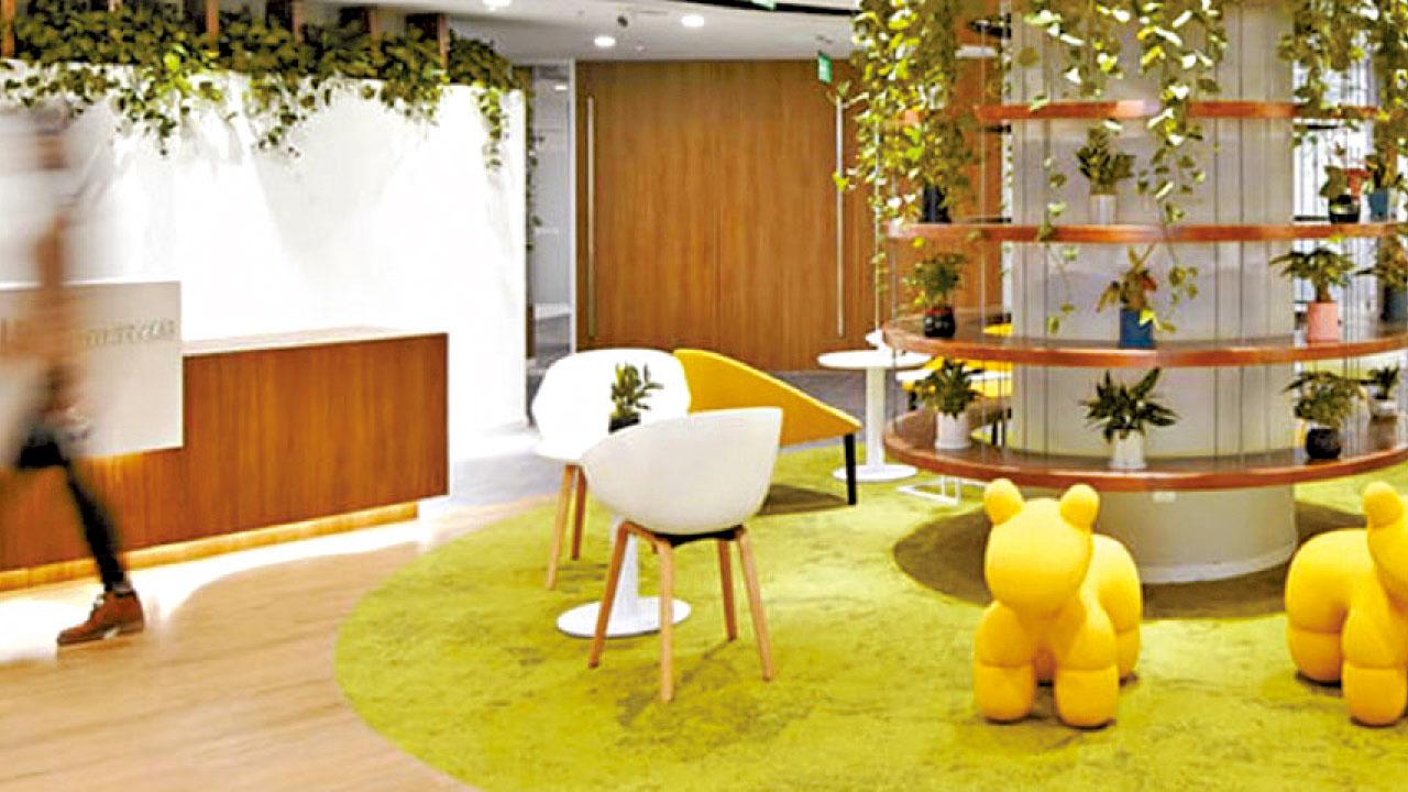 直播帶貨吸金 股價飆7倍 新東方在線超買 北水食胡