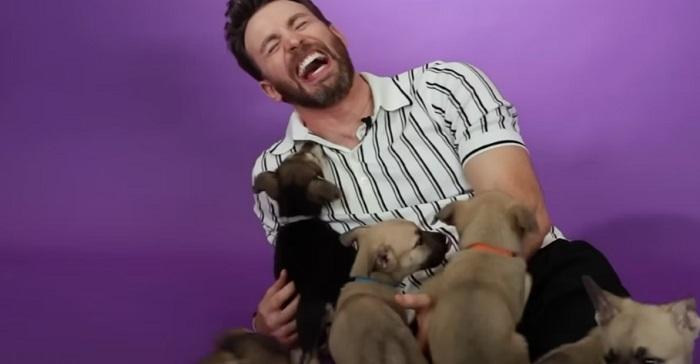 美國隊長基斯被狗狗溶化忘做訪問 (有片)