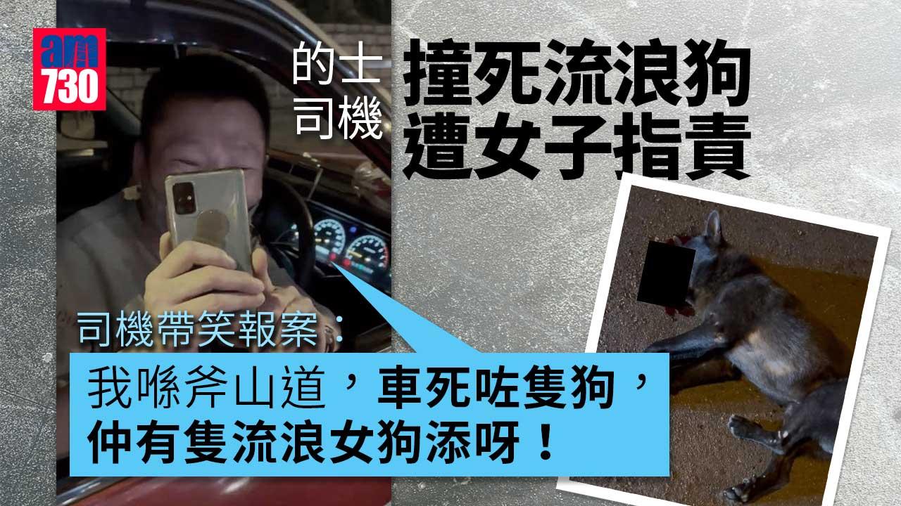 富山邨的士撞死流浪狗 街坊：撞死狗仲理直氣壯