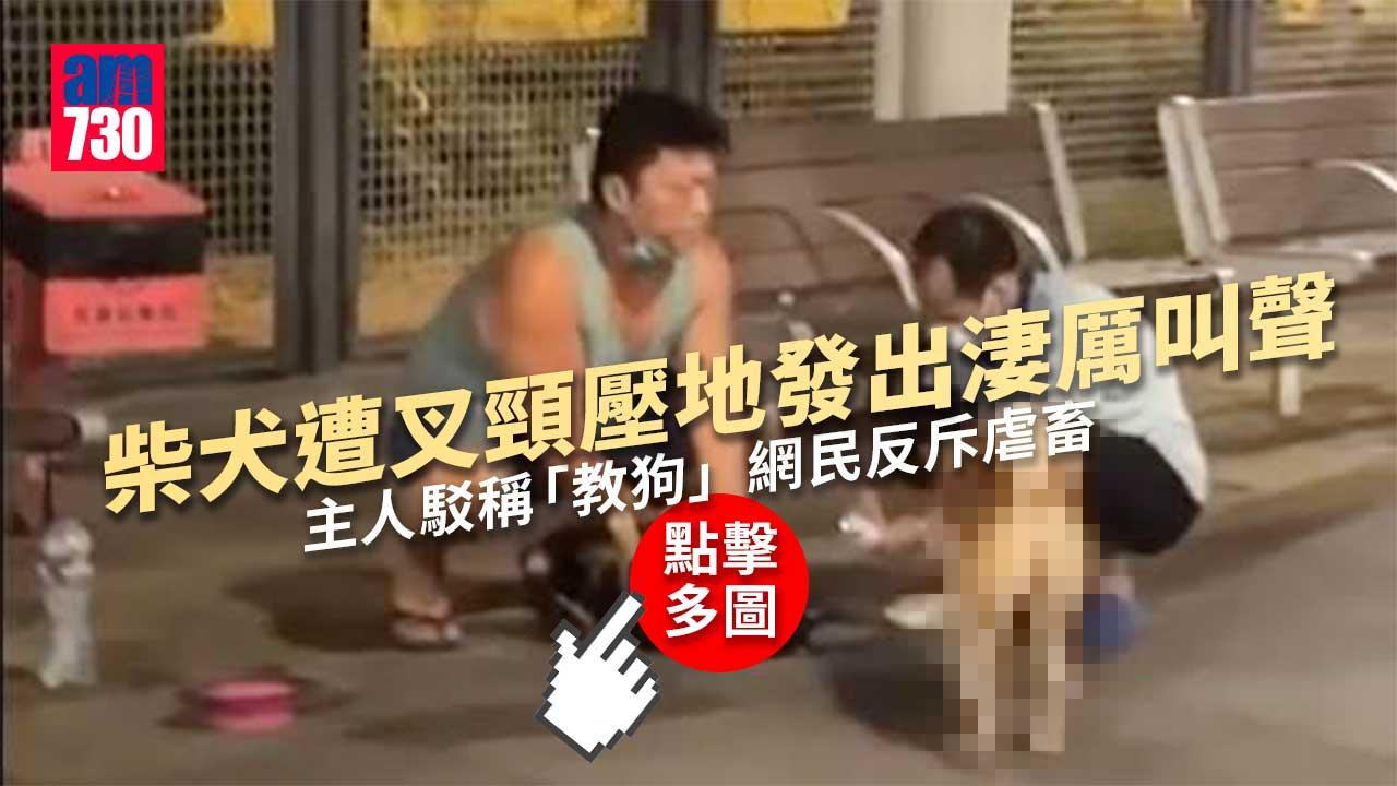 柴犬遭叉頸壓地掙扎大叫　主人駁稱「教狗」網民反斥虐畜(多圖)