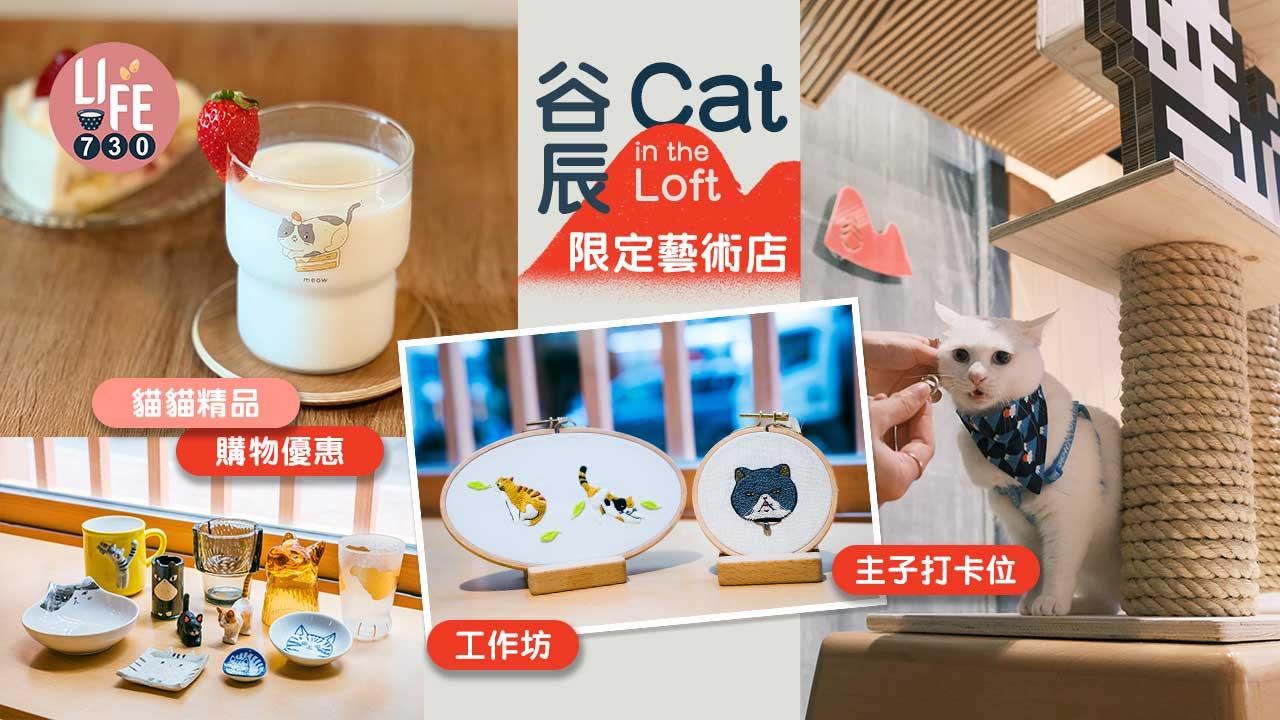 貓奴必去｜谷辰Cat in the Loft限定藝術商店 主子打卡位/貓貓精品/購物優惠/工作坊