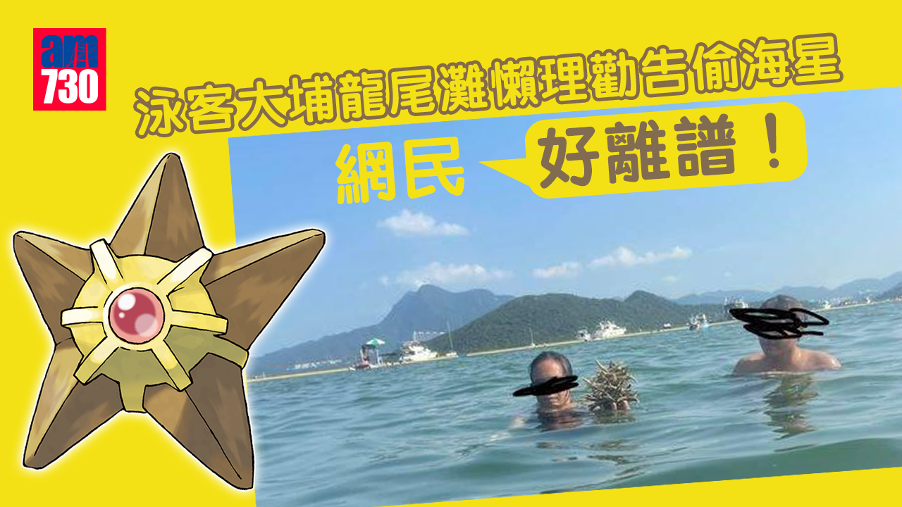 網上熱話｜泳客大埔龍尾灘懶理勸告偷海星　網民：「好離譜！」