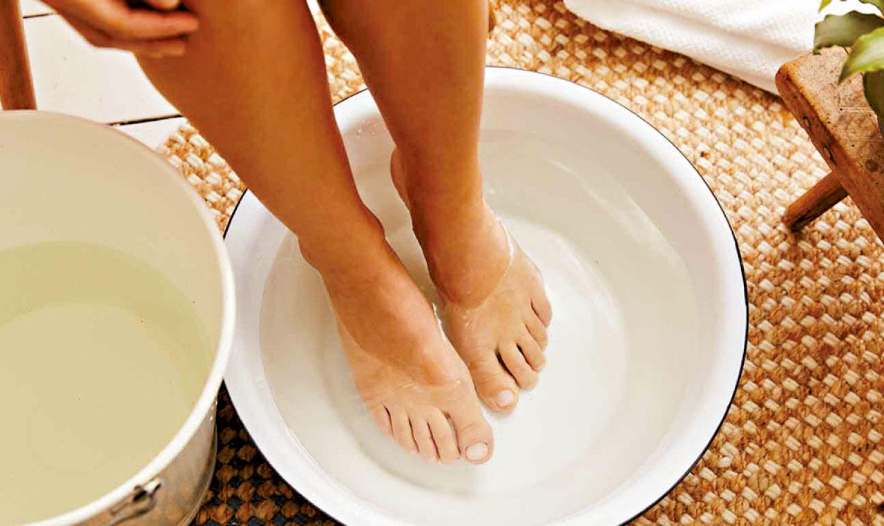 養樹護根 養人護足