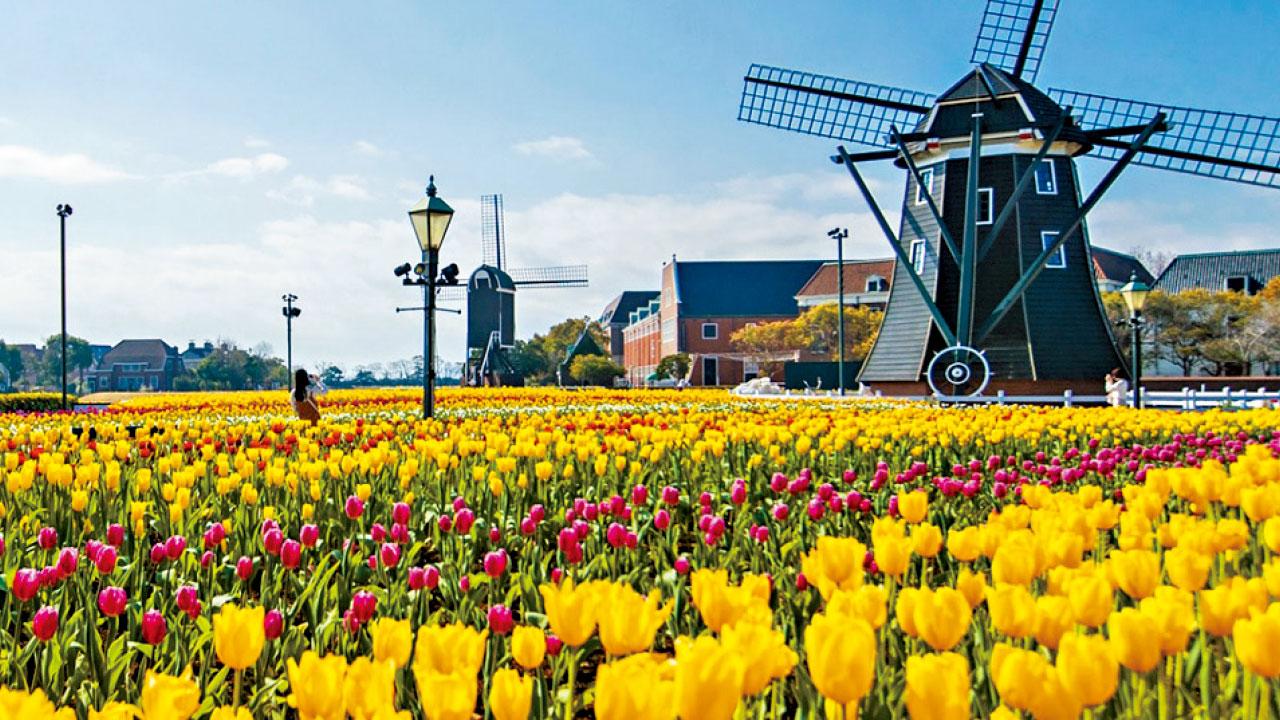 收購66%持股涉數百億日圓 香港公司擬買豪斯登堡