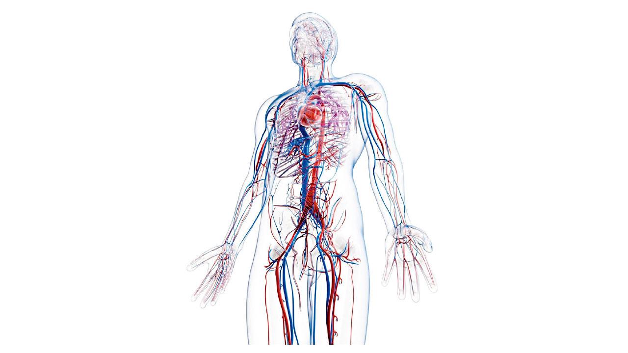 一個專科的誕生