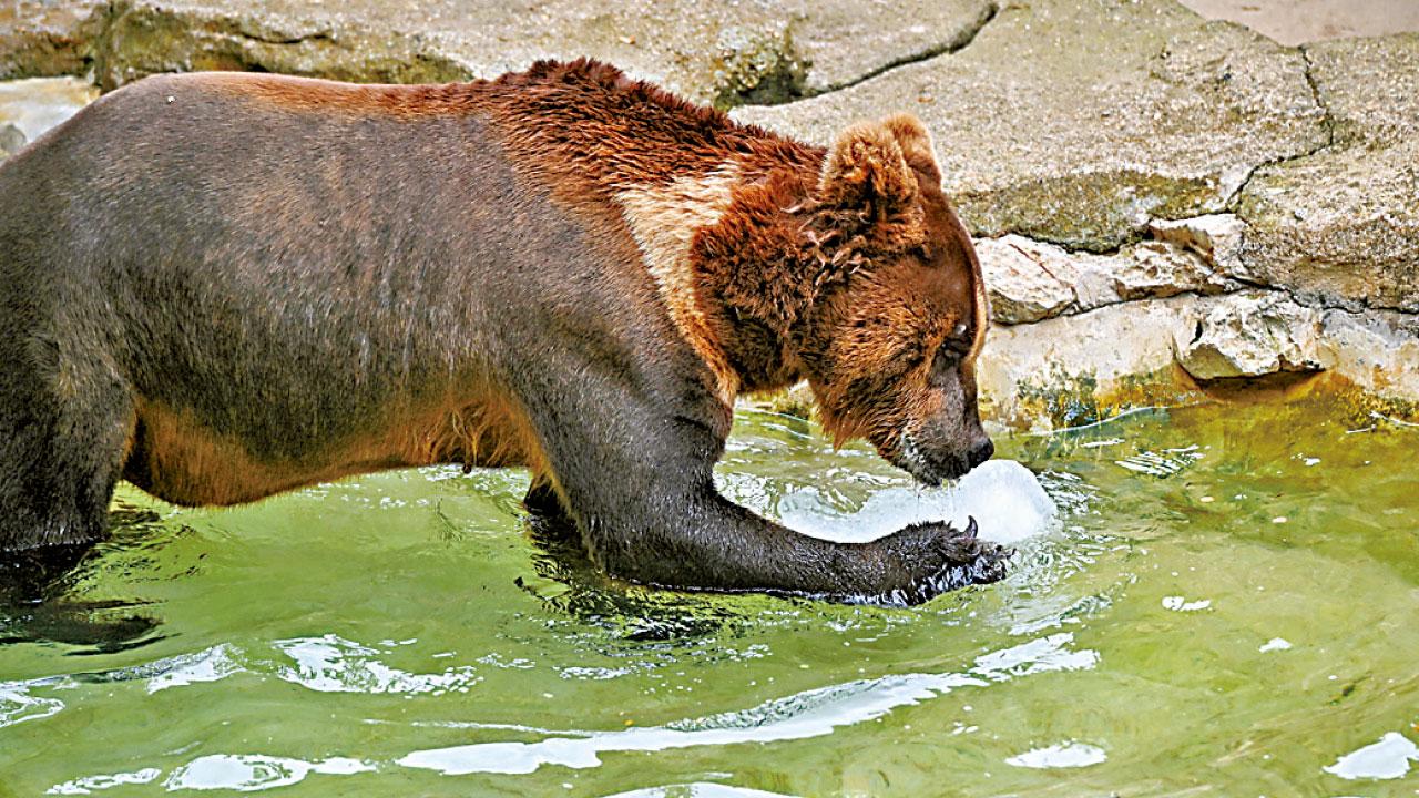內地熱浪捲土重來 浙江高溫近42度