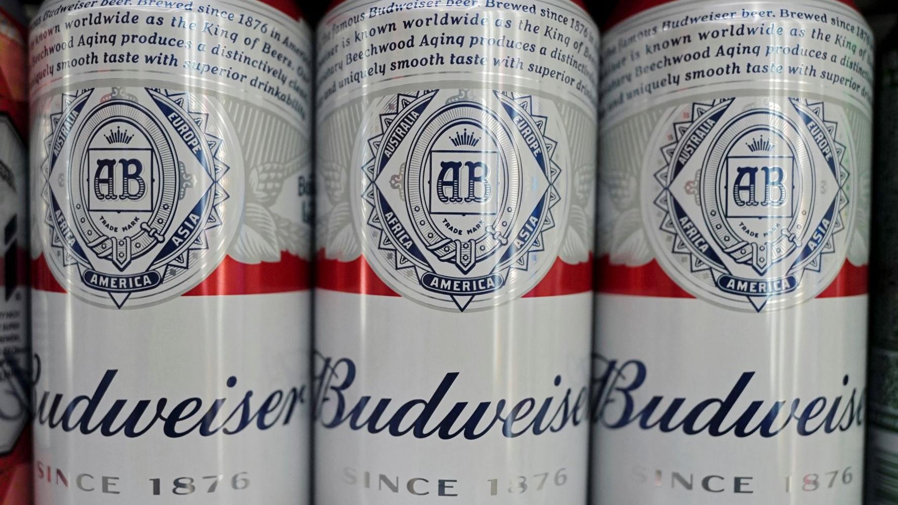 百威亞太中期純利升24%不派息　總銷量跌