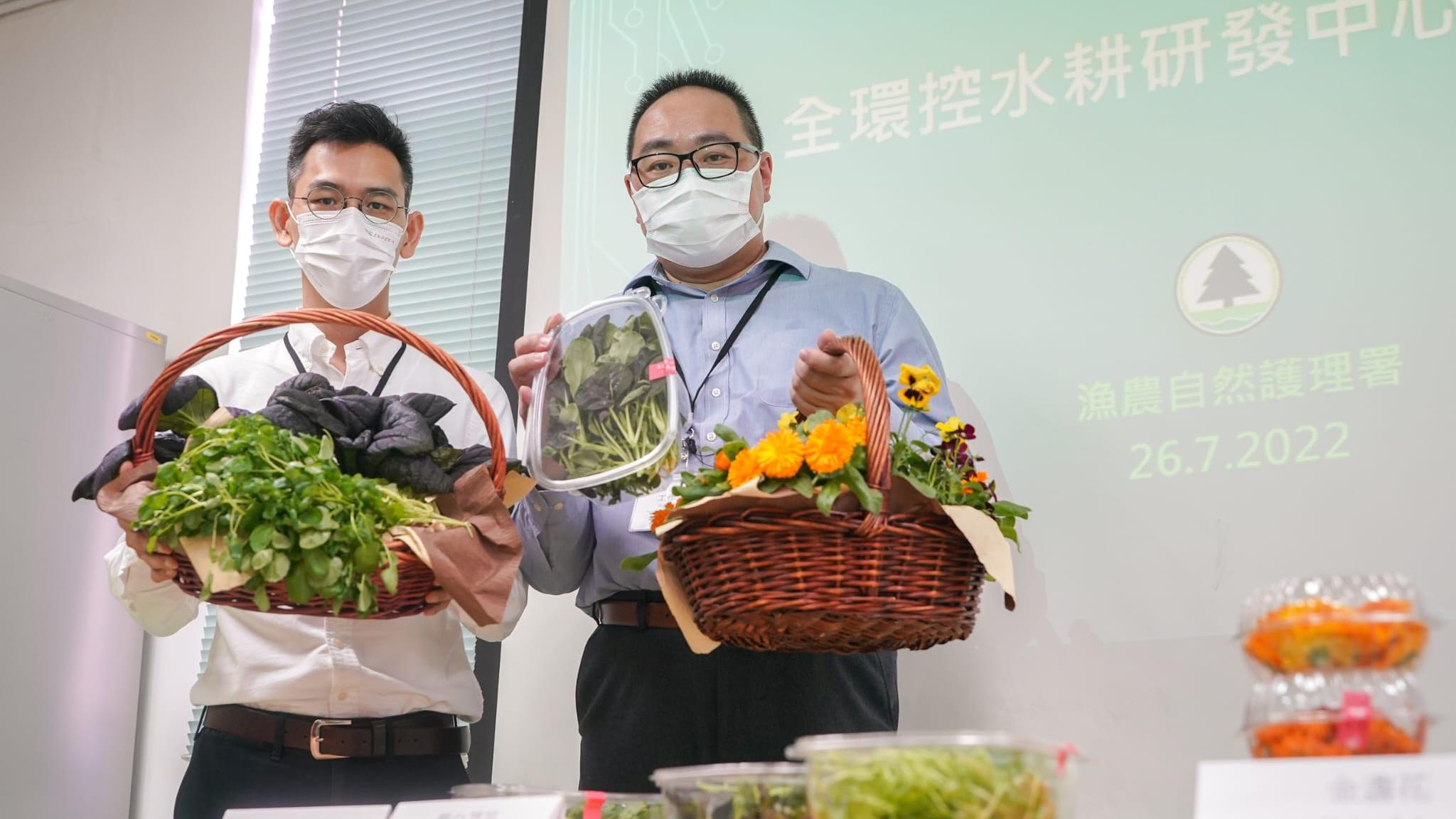 漁護署今次推介的品種是較適合在寒冷天氣生長，利用環控水耕技術則可以調節溫度，達至全年生產。(李睿哲攝)